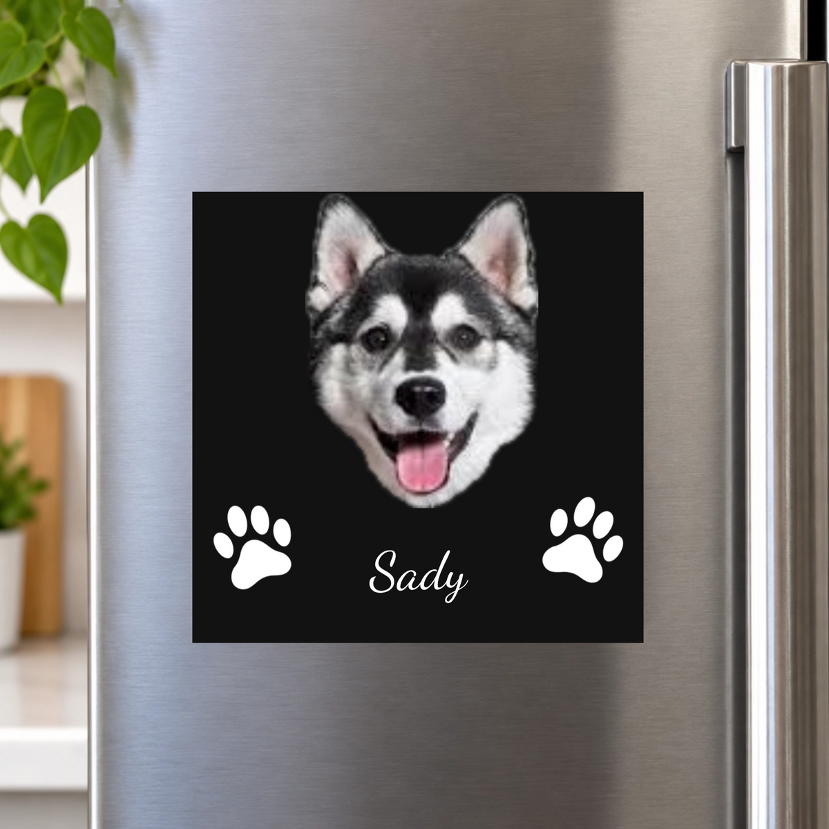 Pet-Inspired