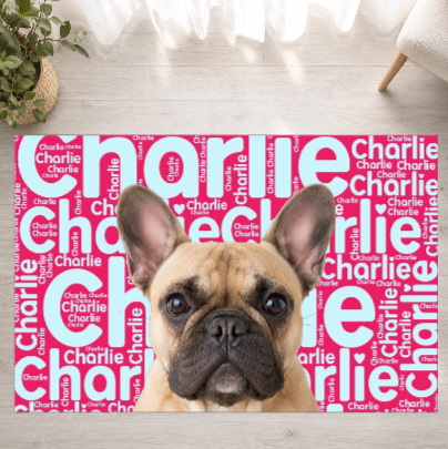 Signature Moments Personalized Dog Washable Rug