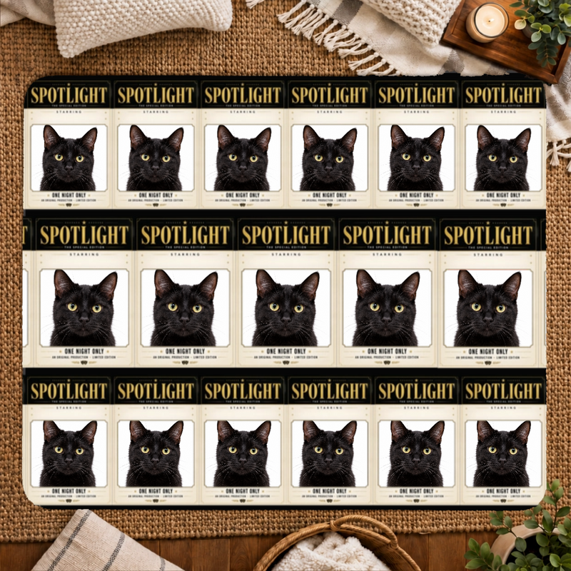 In the Spotlight Personalized Cat 50x60 Sherpa Blanket